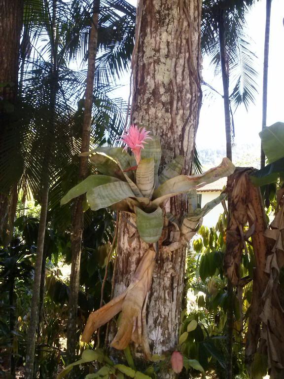 Chalé Rio dos Meros Villa Parati Esterno foto