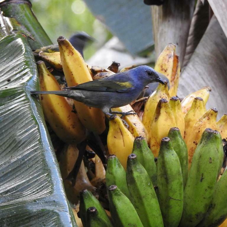 Chalé Rio dos Meros Villa Parati Esterno foto