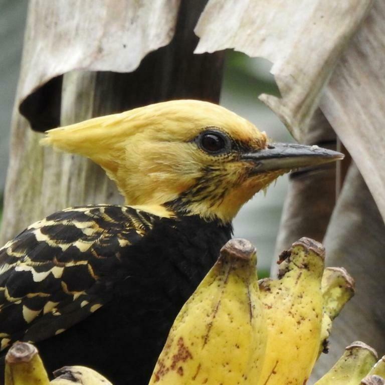 Chalé Rio dos Meros Villa Parati Esterno foto