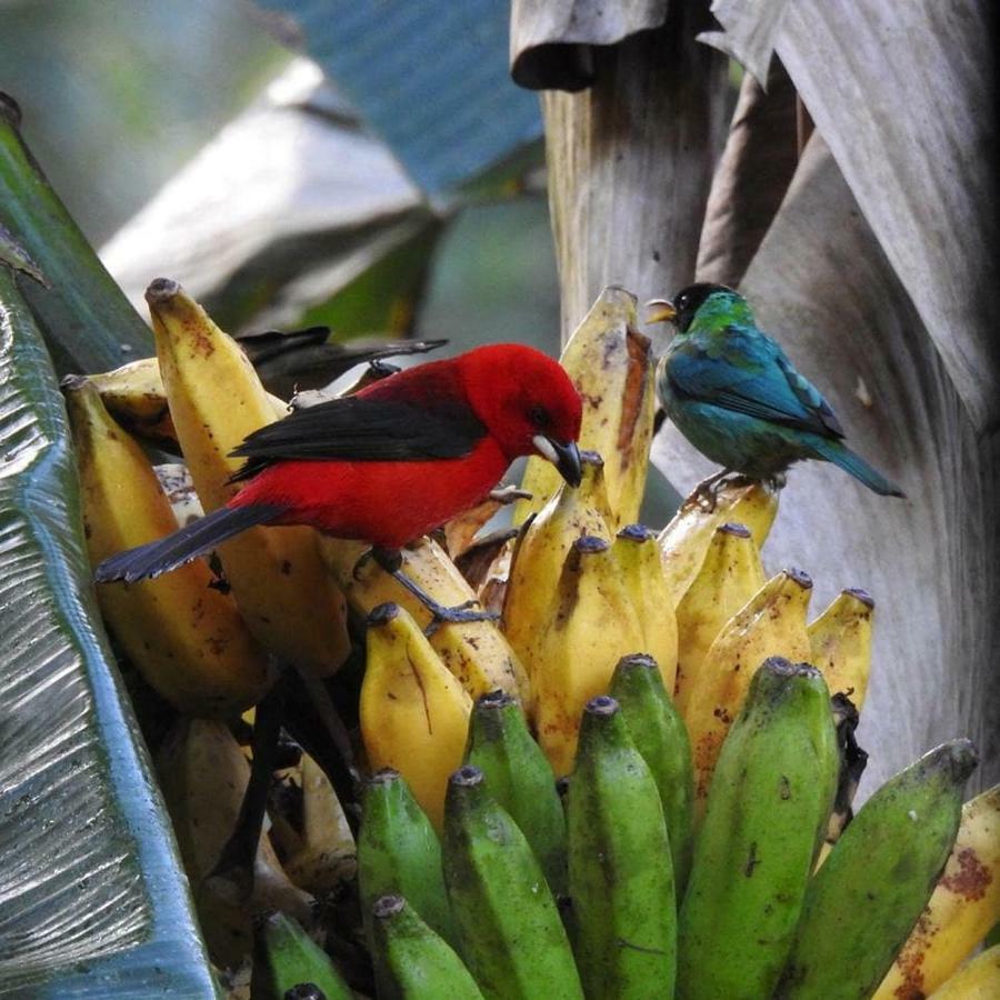 Chalé Rio dos Meros Villa Parati Esterno foto